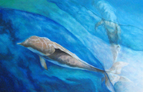 Dolfijnsch